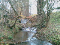 Der Ruhrbach-Wasserfall besteht aus zwei Stufen