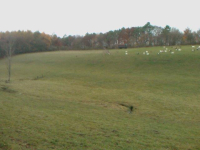 Blick ins Ruhrbachtal