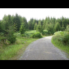 Waldweg