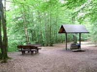 Der Grillplatz liegt mitten im Wald direkt an der Nieme.