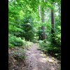Der Wanderpfad ist gut zu begehen
