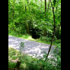 Der Wanderweg quert nun die Strasse