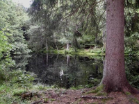 Ein idyllischer kleiner Bergsee.