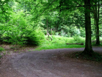 Nun sollte man links die kleine Treppe hoch und die Strasse schraeg links ueberqueren.