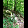 Und gleich wieder die Treppe hoch in den Wald