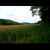 Wiese im Niemetal