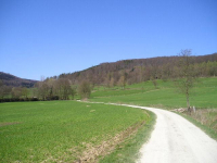 Der Weg ins Tal am Grillplatz vorbei.