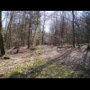 Waldweg