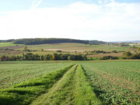 Auf mit Gras bewachsenem Weg geht es bergab.