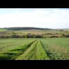 Auf mit Gras bewachsenem Weg geht es bergab