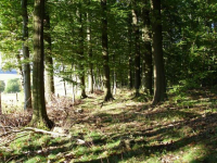 Der Wanderweg fuehrt am Rand der Weiden entlang.