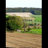 Ein toter Baum bereichert den Ausblick