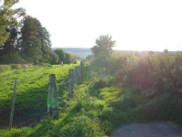 Entlag der Weide zurueck zur Strasse.