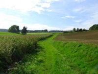 Wandern auf gruenen Wegen.