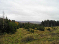 Ausblick von einer Anhoehe