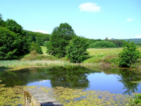 Teich im Weserbergland